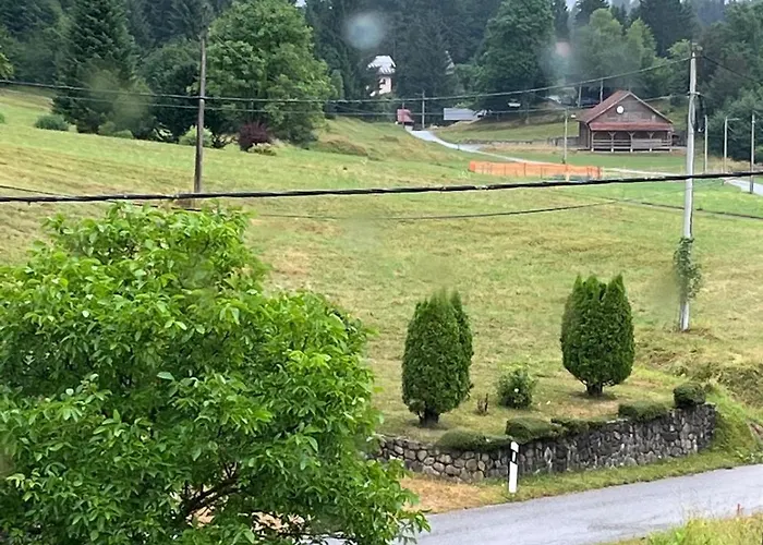 Seoska Rapsodija * Trsce